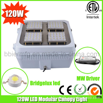 120W HPS Medium Canopy Light Fixture